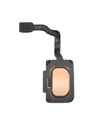 FINGERPRINT READER WITH FLEX CABLE COMPATIBLE FOR SAMSUNG S9 / S9 PLUS GOLD PREMIUM